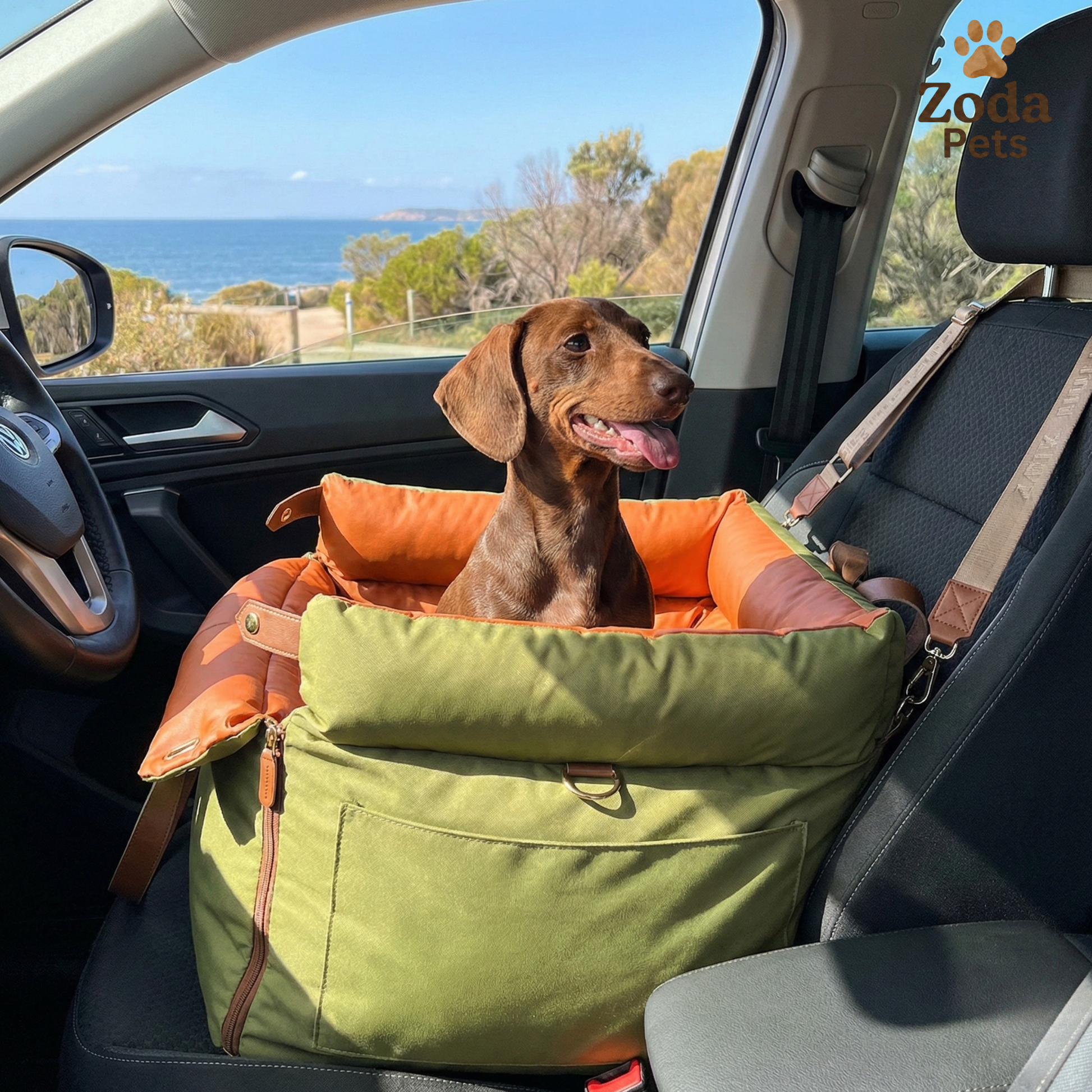 Dog sitting in a green and orange pet carrier inside a car with a scenic background.